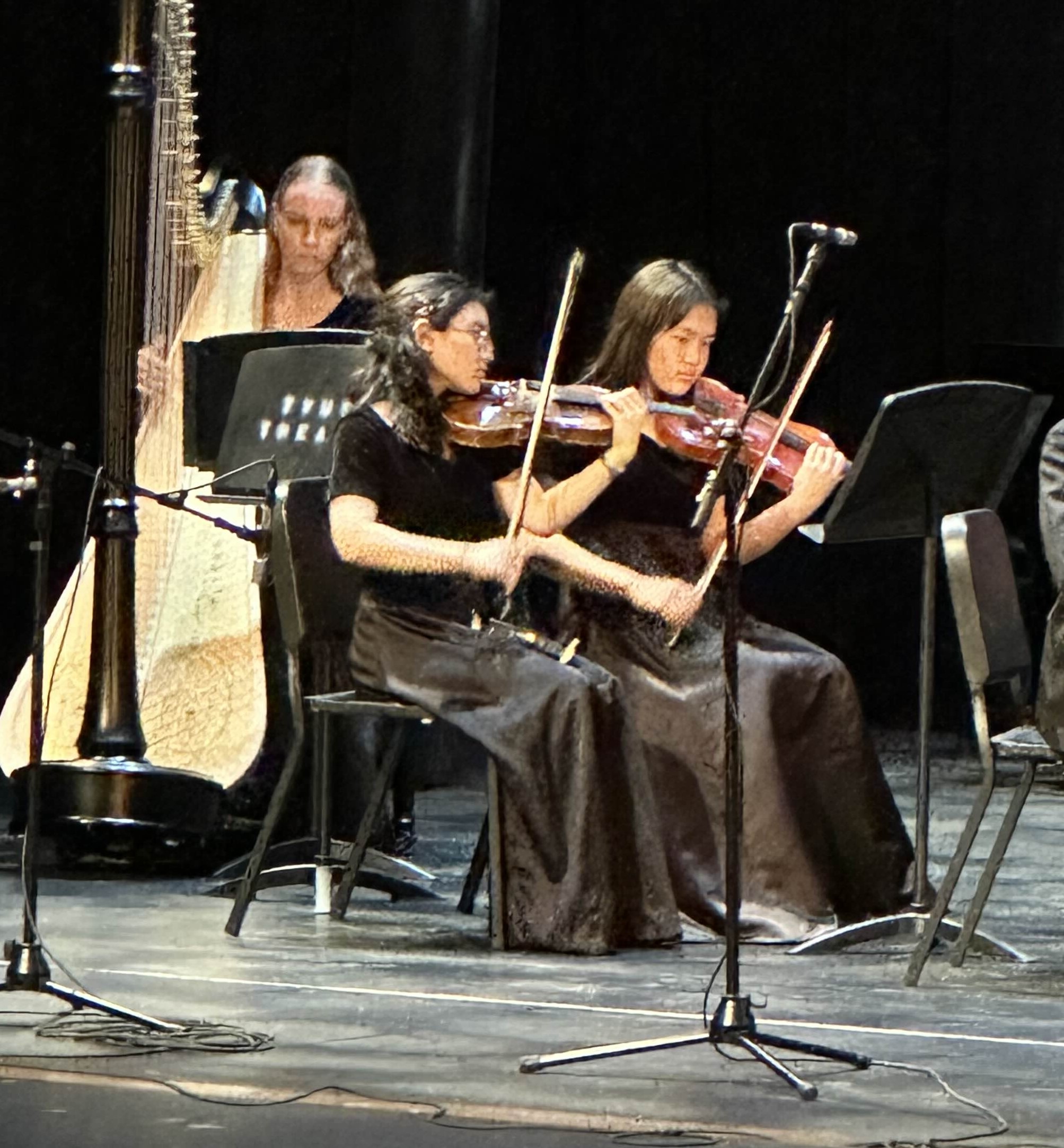 Sophia playing violin